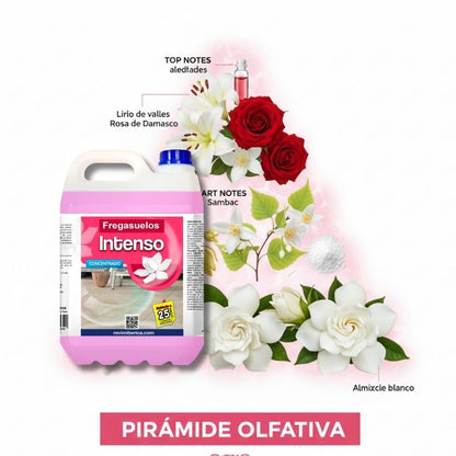 Fregasuelos INTENSO – Aroma floral elegante con notas cítricas y fondo ambarado | AMPER