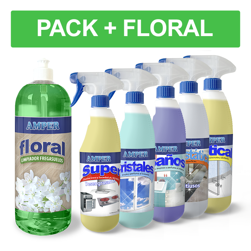 Caja de productos de limpieza profesional - Pack OFERTA 6 productos de ahorro