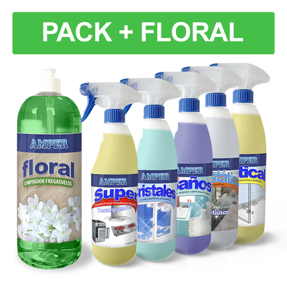 Caja de productos de limpieza profesional - Pack OFERTA 6 productos de ahorro