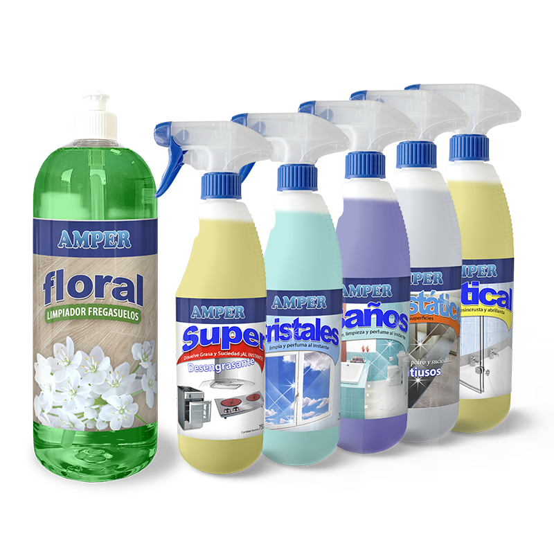 Caja de productos de limpieza profesional - Pack OFERTA 6 productos de ahorro