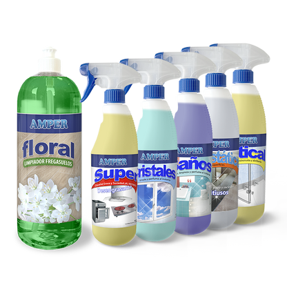 Caja de productos de limpieza profesional - Pack OFERTA 6 productos de ahorro